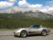 1982 Chevrolet 1982 - Chevrolet Corvette