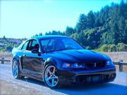 2003 ford Ford Mustang SVT Cobra