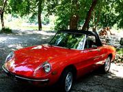 1980 Alfa Romeo Alfa Romeo Spider 2 door convertible