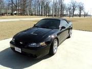 ford mustang Ford Mustang SVT Cobra Convertible 2-Door