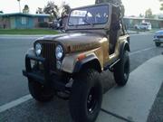 1979 Jeep Jeep CJ CJ5