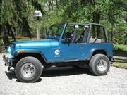 1993 Jeep Jeep Wrangler YJ