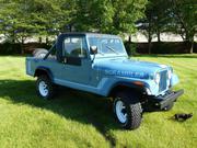 1981 Jeep Jeep CJ factory stripes