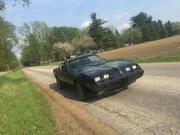 1981 Pontiac Firebird