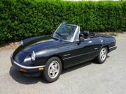 1990 Alfa Romeo Spider