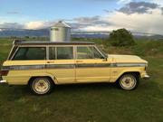 1973 jeep Jeep Wagoneer Custom