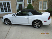 2004 Ford Mustang SVT Cobra