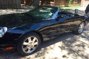 2002 Ford Thunderbird