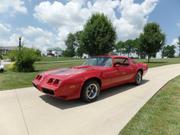 1981 pontiac Pontiac: Firebird TRANS AM