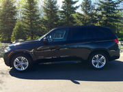 2014 BMW X5xDrive35i Sport Utility 4-Door