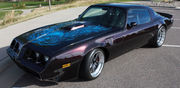 1979 Pontiac Trans Am