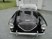 1954 Austin Healey Austin Healey: 100