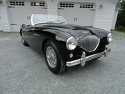 1954 Austin Healey 100