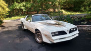 1981 Pontiac Firebird TRANS AM WS6