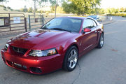 2003 Ford Mustangsvt cobra