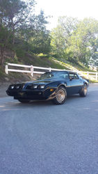 1981 Pontiac Trans Am