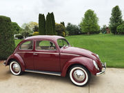 1955 Volkswagen Beetle - Classic