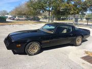 1979 Pontiac Trans Am original paint