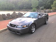 2003 Ford Mustang Cobra