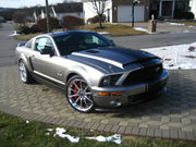 2008 Shelby GT500COUPE