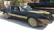 1979 Pontiac Trans Am New PaintDecals