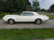 1969 Oldsmobile 442 cameo white,  fire frost gold with black pin strip