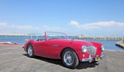 1954 Austin Healey 100