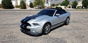 2014 Ford Mustang GT 500